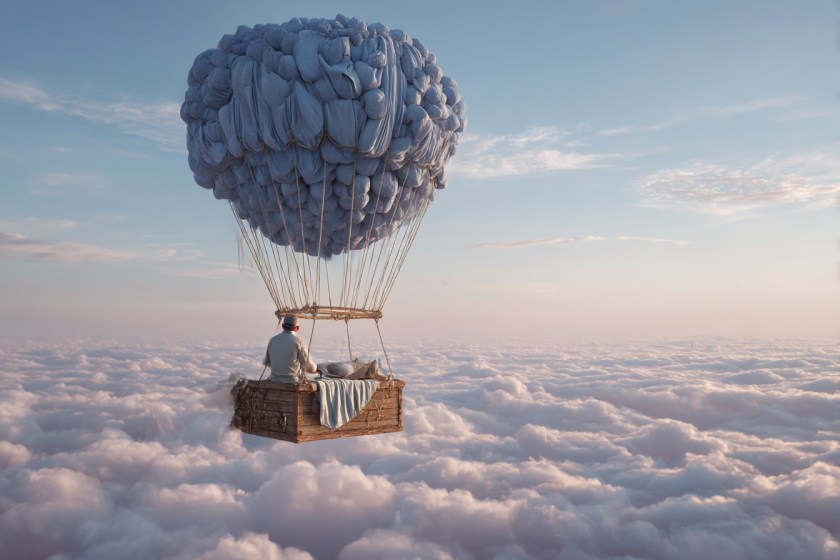 The biggest adventure you can take is to live the life of your dreams 