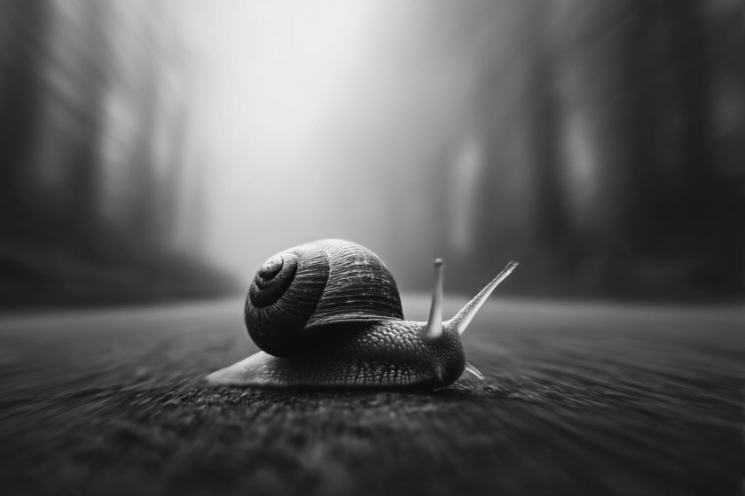 It does not matter how slowly you go, as long as you do not stop.